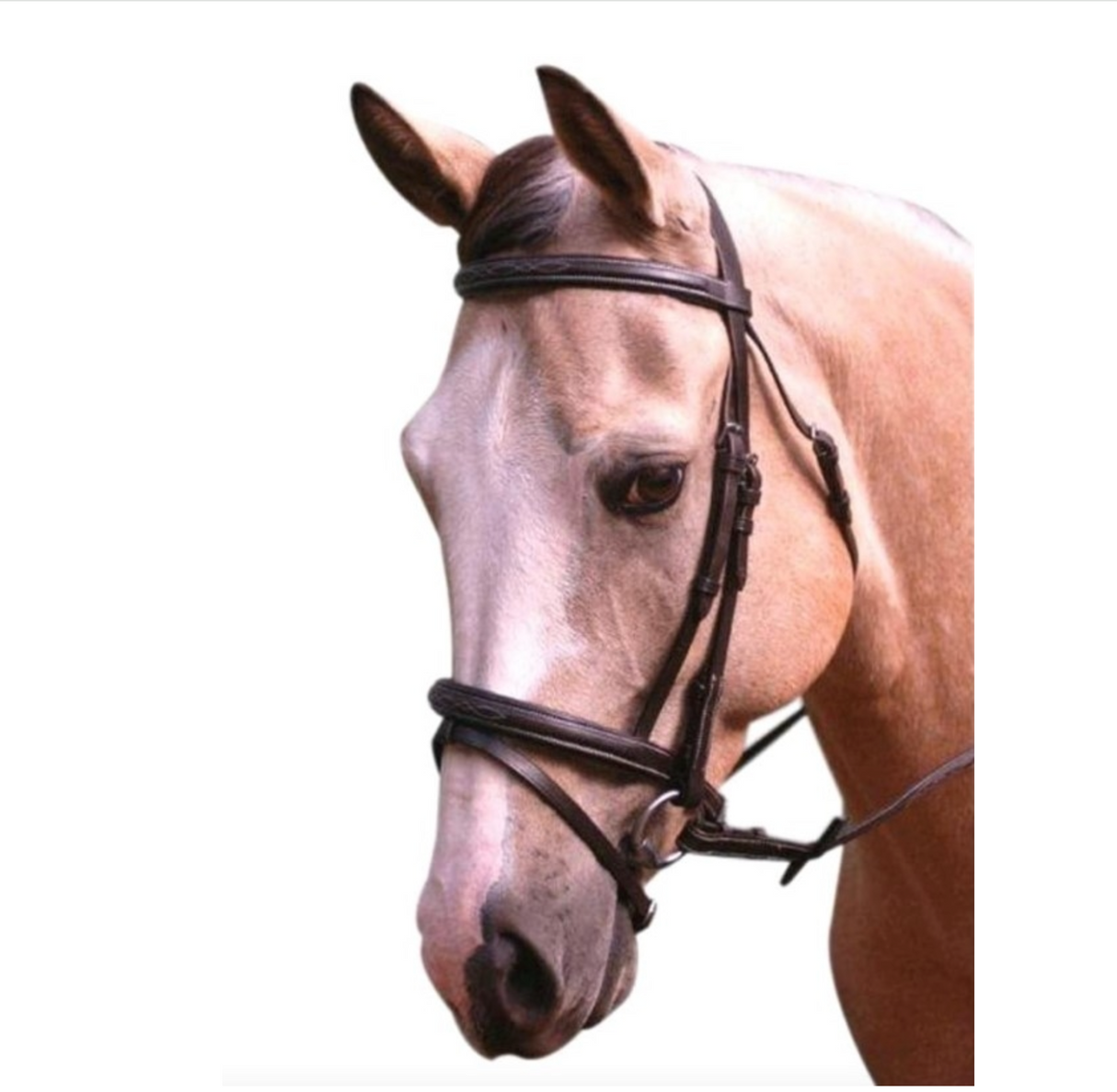 Comfort Hanoverian Bridle