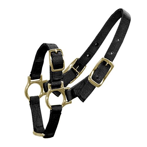 Halter for Sheep & Goats - Black