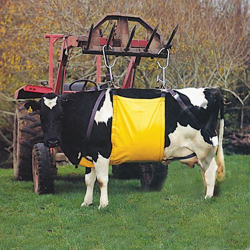 Supreme Cow Lifter - Extra Large Size