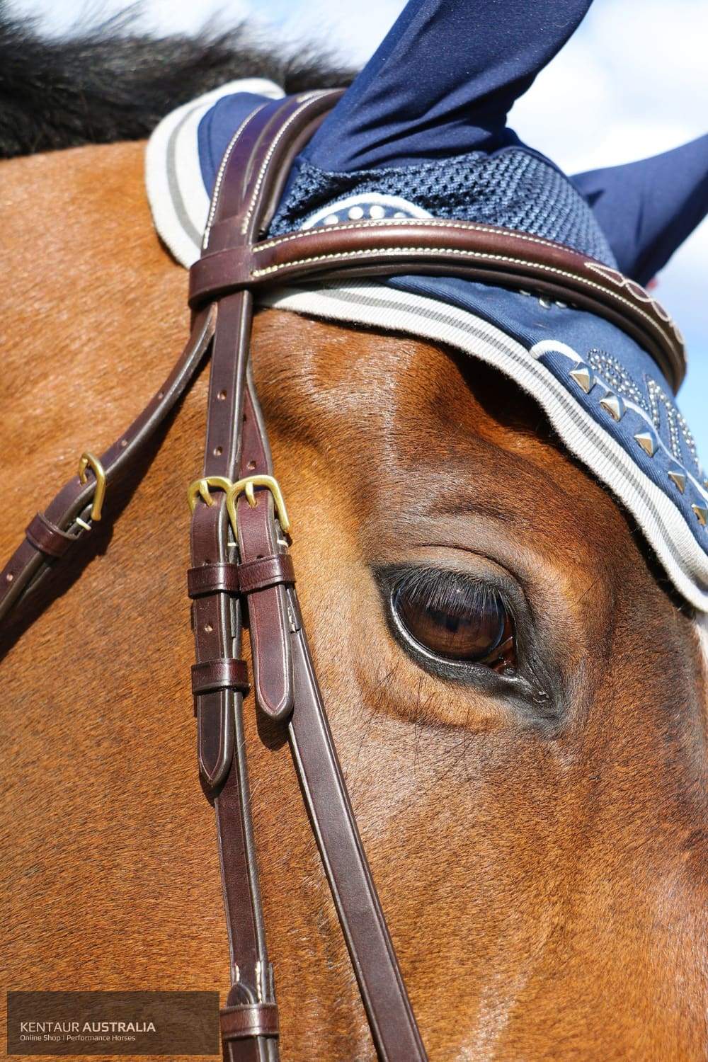 Kentaur 'Clarksville' Drop Noseband Bridle