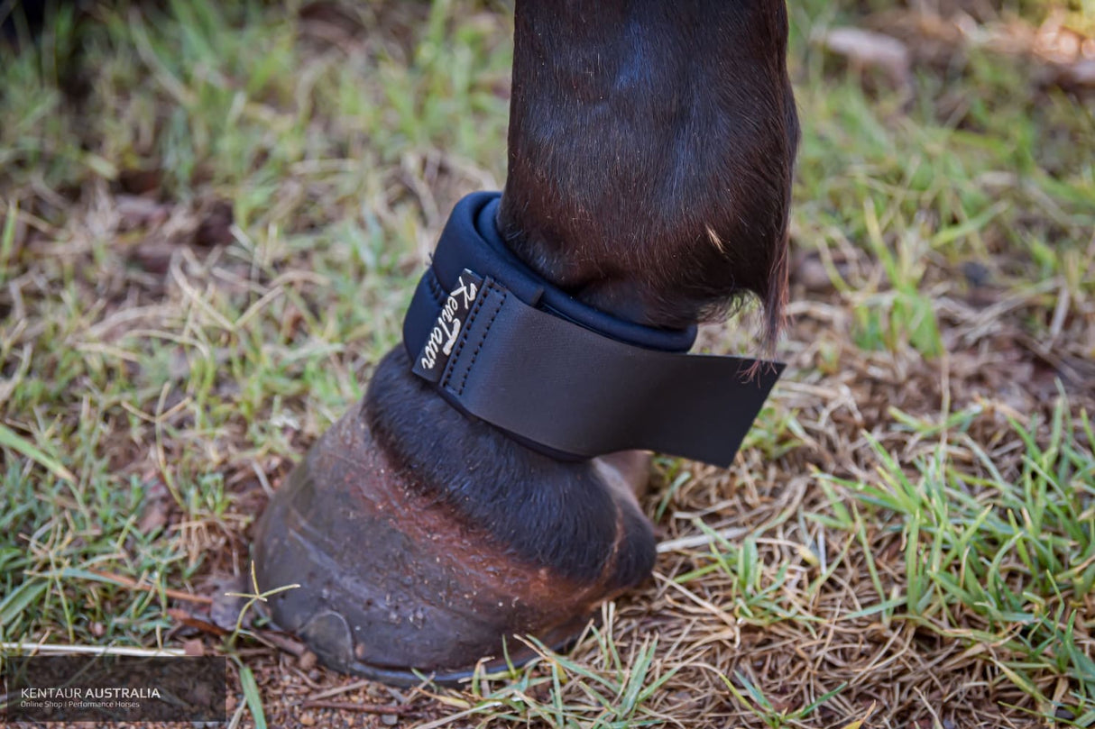 Kentaur Fetlock Belt