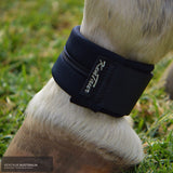 Kentaur Fetlock Belt