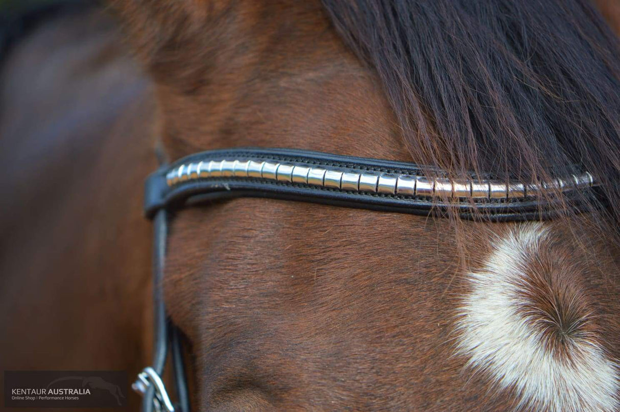 Kentaur 'Griffin' Dressage Bridle