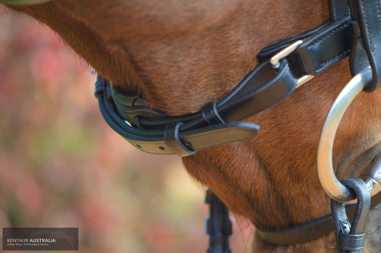 Kentaur 'Griffin' Dressage Bridle