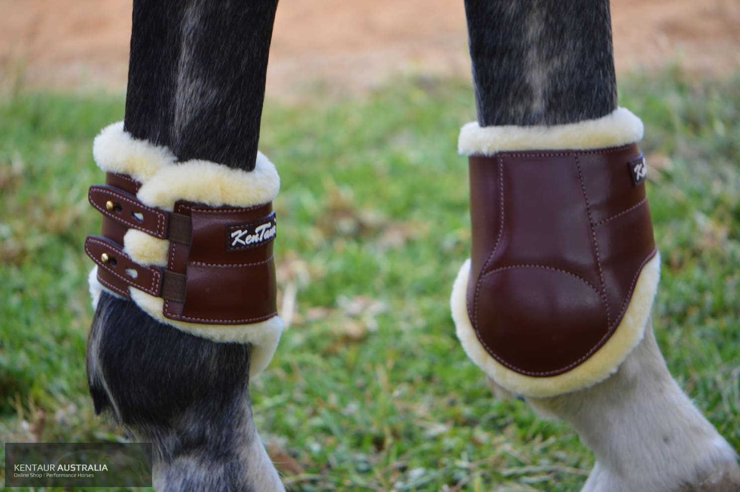 Hind boots hotsell show jumping