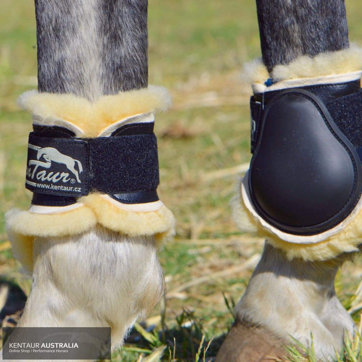 Kentaur ‘Profi’ Hind Jumping Boots with Sheepskin