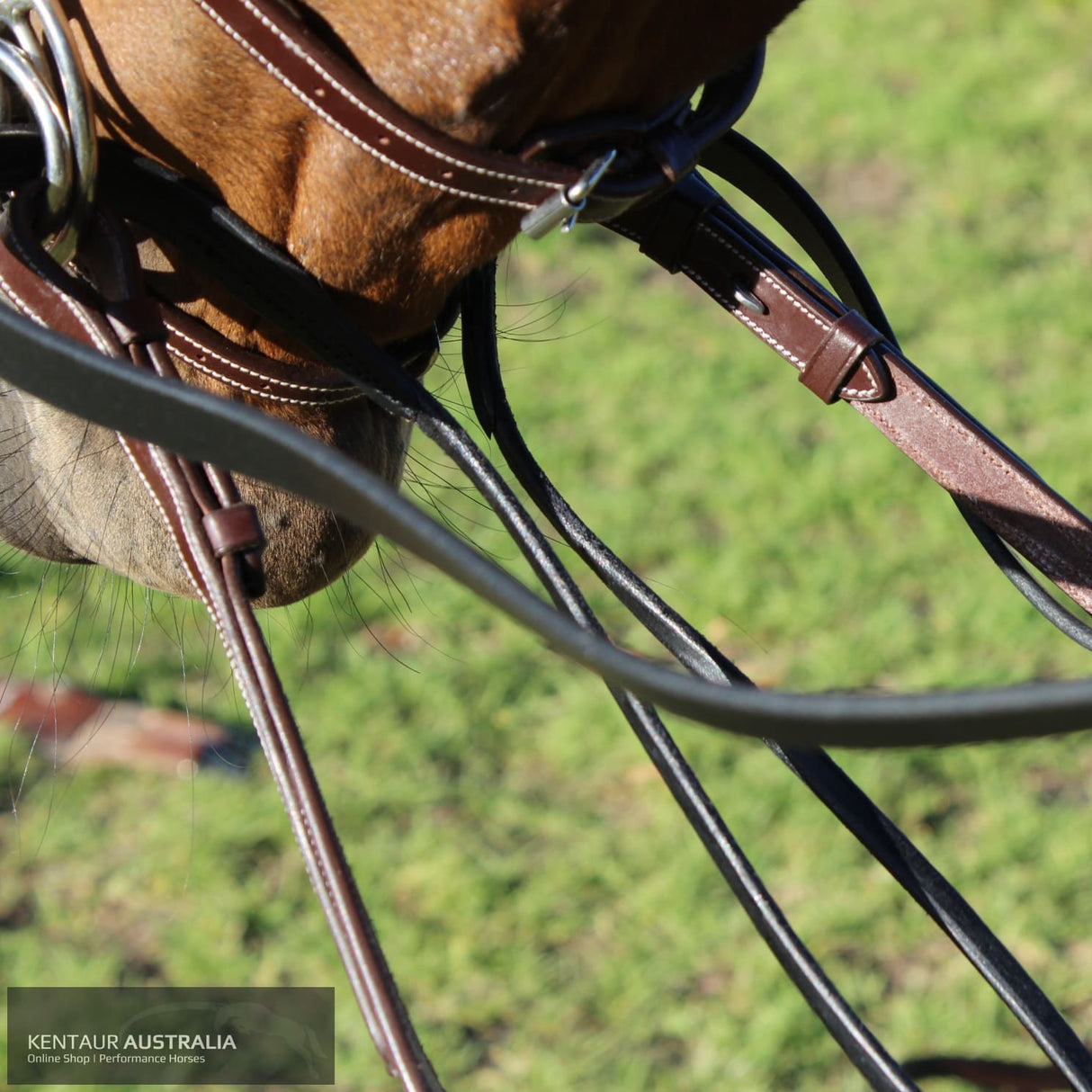 Kentaur 'Rolled Leather' Draw Reins