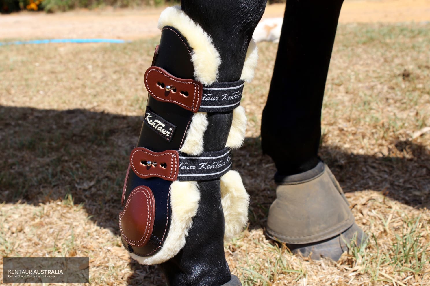 Kentaur on sale tendon boots